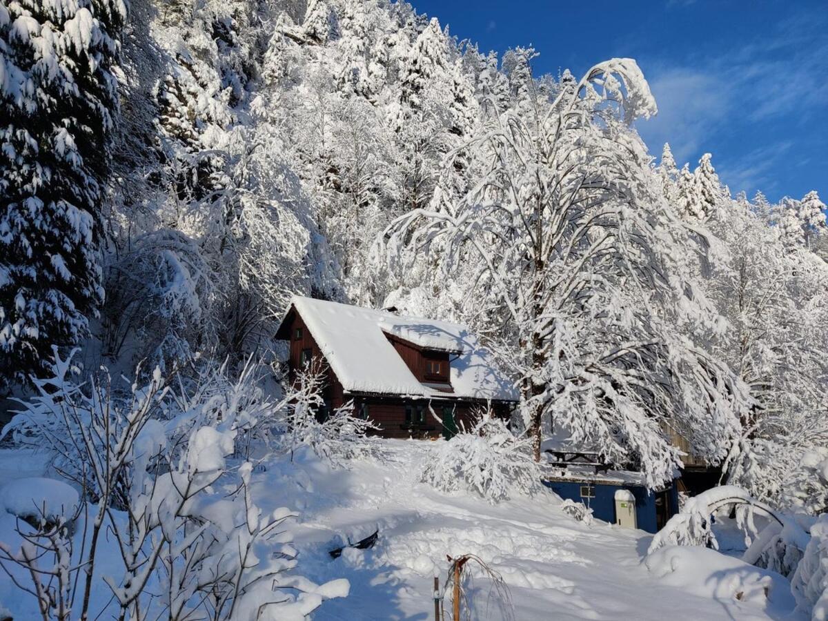 Idyllic Mountain Huette -Gesaeuse Nationalpark Villa Landl  Eksteriør bilde