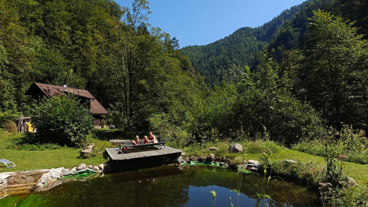 Idyllic Mountain Huette -Gesaeuse Nationalpark Villa Landl  Eksteriør bilde